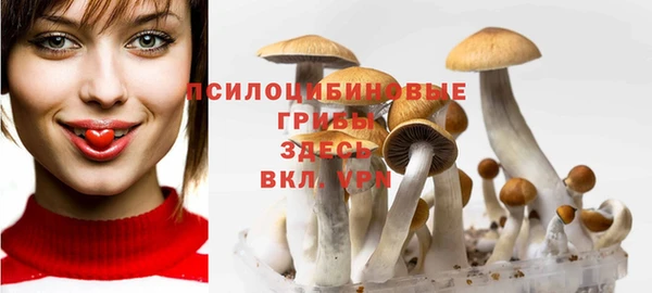 марки nbome Абаза