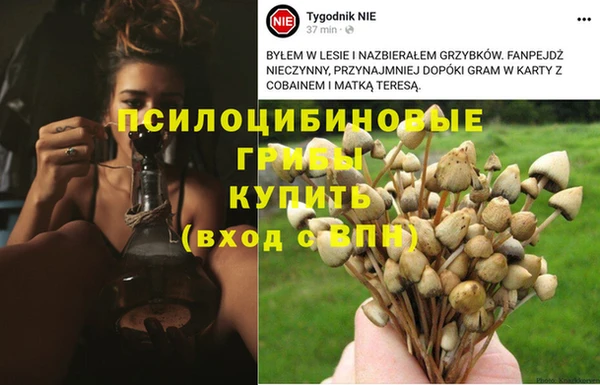 метадон Абдулино
