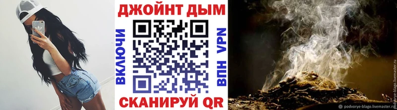 Конопля семена  где продают   Ковров 